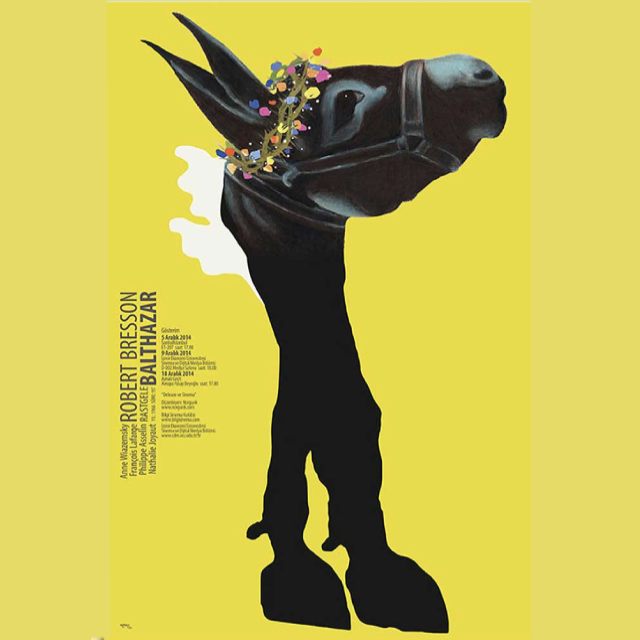 Kesintisiz Bir Bakış…